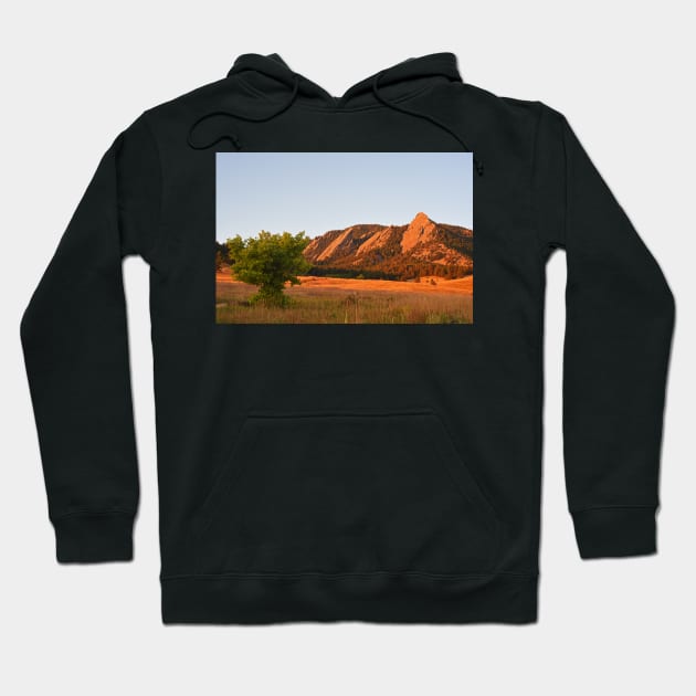 The Flatirons Boulder Colorado from Chautauqua Park Tree Hoodie by WayneOxfordPh